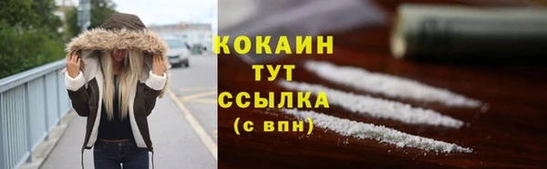 прущий лед Михайлов