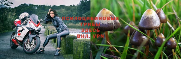 прущий лед Михайлов