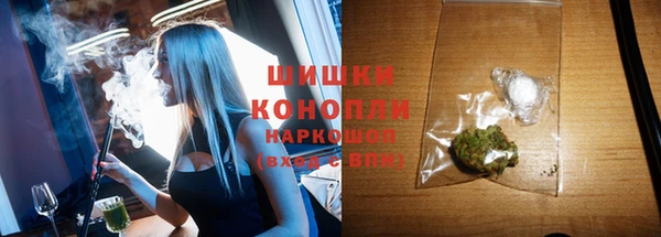 гидра Ачинск